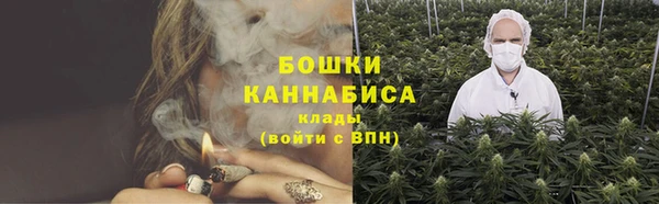 ПСИЛОЦИБИНОВЫЕ ГРИБЫ Абаза