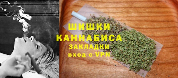 ПСИЛОЦИБИНОВЫЕ ГРИБЫ Абаза