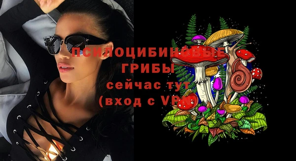 ПСИЛОЦИБИНОВЫЕ ГРИБЫ Абаза