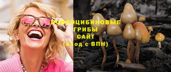 СК Осинники