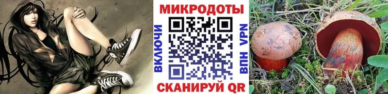 МЕГА сайт  где купить   Емва  Псилоцибиновые грибы ЛСД 